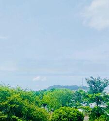 KI Residences at Brookvale (D21), Condominium #471401721